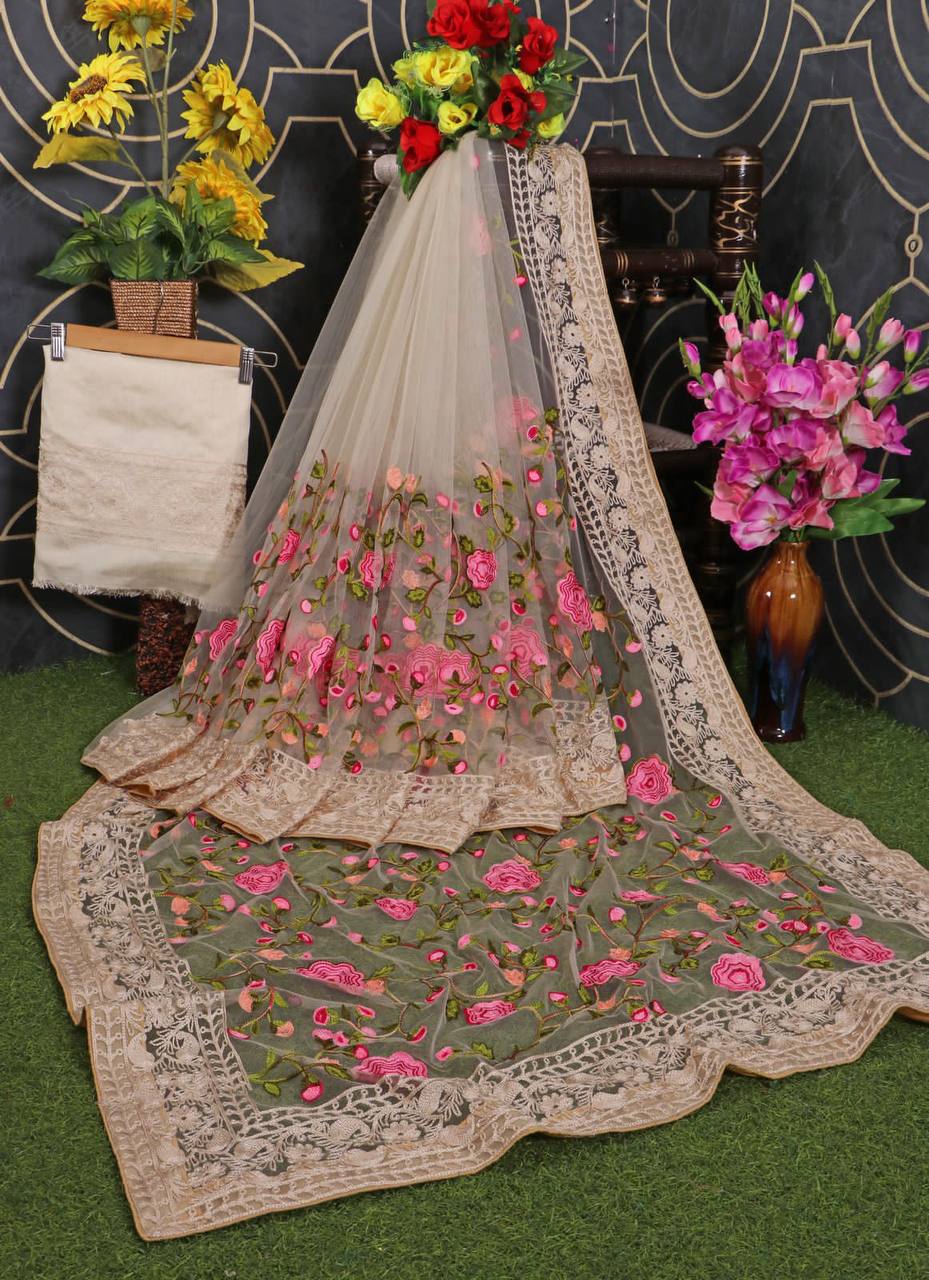 Wedding Chikkoo Colour Saree With Unstitched Blouse